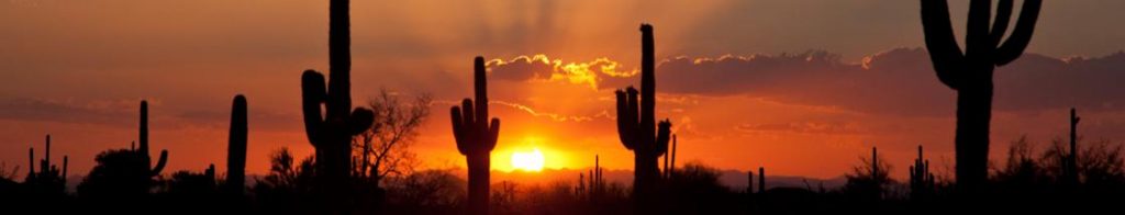 Arizona desert sunset with saguaros